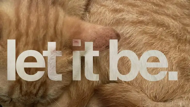 Let it be